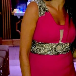 Camilla Formal/Prom Pink Fuschia Gown Size S (4/6)